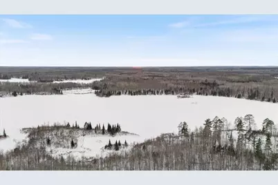 38138 Hocking Road, Bigfork, MN 56628 - Photo 6