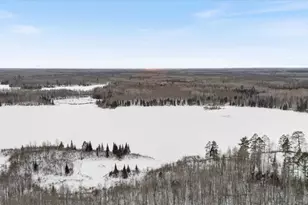 38138 Hocking Rd, Bigfork, MN 56628 - Photo 6