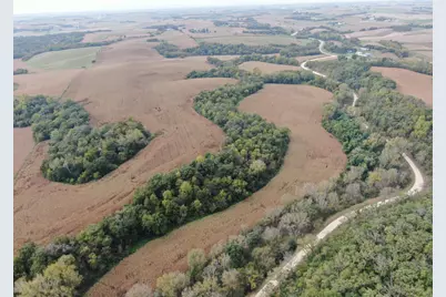 Tbd County Road 3, Zumbro Falls, MN 55991 - Photo 16