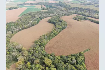 Tbd County Road 3, Zumbro Falls, MN 55991 - Photo 8