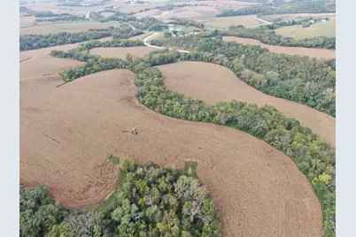 Tbd County Road 3, Zumbro Falls, MN 55991 - Photo 12