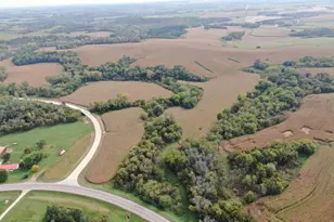 Tbd County Road 3, Zumbro Falls, MN 55991 - Photo 1
