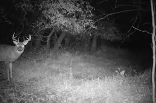 543 60th St NE, Buffalo, MN 55313 - Photo 48