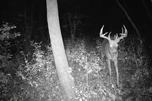 543 60th St NE, Buffalo, MN 55313 - Photo 46