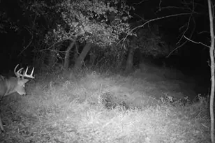 543 60th St NE, Buffalo, MN 55313 - Photo 46