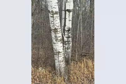 Tbd 50th Avenue, Ogilvie, MN 56358 - Photo 24