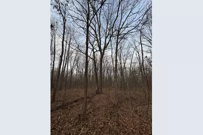 Tbd 50th Avenue, Ogilvie, MN 56358 - Photo 12