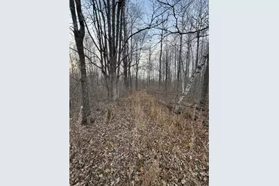 Tbd 50th Avenue, Ogilvie, MN 56358 - Photo 8