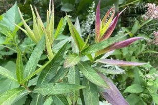 4231 Nokomis Ave S, Minneapolis, MN 55406 - Photo 64