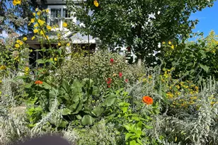 4231 Nokomis Ave S, Minneapolis, MN 55406 - Photo 72