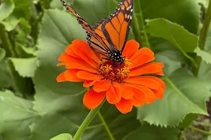 4231 Nokomis Ave S, Minneapolis, MN 55406 - Photo 70