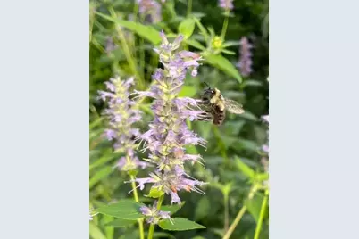 4231 Nokomis Avenue S, Minneapolis, MN 55406 - Photo 66