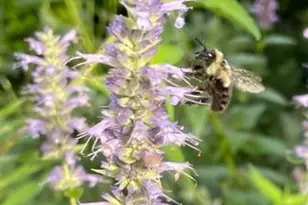 4231 Nokomis Ave S, Minneapolis, MN 55406 - Photo 66