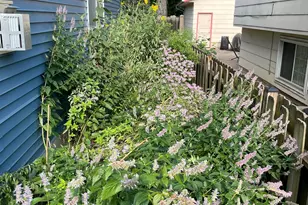 4231 Nokomis Ave S, Minneapolis, MN 55406 - Photo 68