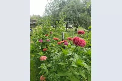 7625 Teal Road, Woodbury, MN 55125 - Photo 38