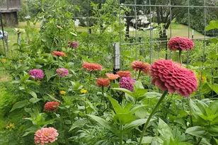 7625 Teal Rd, Woodbury, MN 55125 - Photo 38