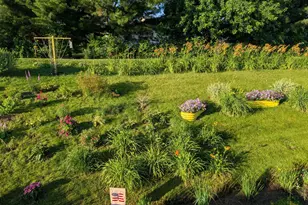 1013 Eagle Vista Ln, Lake City, MN 55041 - Photo 12