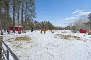 24249 Nelson Rd, Webster, WI 54893 - Photo 44