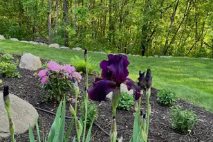 23400 Woodland Ridge Dr, Lakeville, MN 55044 - Photo 88