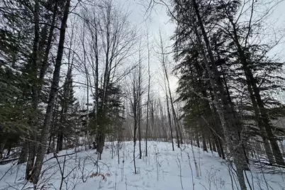 13398 Hart Lake Road, Goodland, MN 55742 - Photo 52