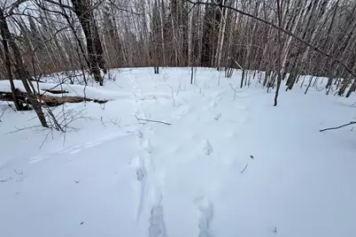 13398 Hart Lake Road, Goodland, MN 55742 - Photo 44