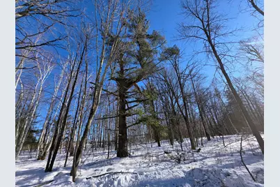 Tbd County Road 43, Willow River, MN 55795 - Photo 10