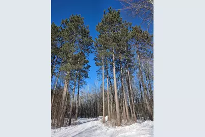 Tbd County Road 43, Willow River, MN 55795 - Photo 4