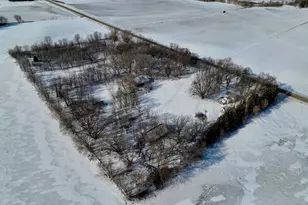 87387 245th St, Albert Lea, MN 56007 - Photo 6