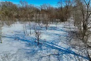 87387 245th St, Albert Lea, MN 56007 - Photo 14