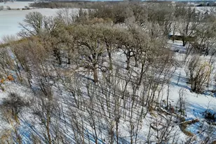 87387 245th St, Albert Lea, MN 56007 - Photo 16