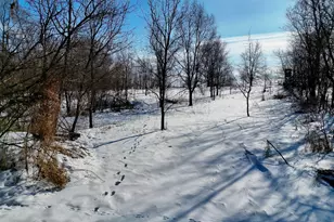 87387 245th St, Albert Lea, MN 56007 - Photo 26