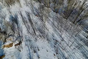 87387 245th St, Albert Lea, MN 56007 - Photo 18