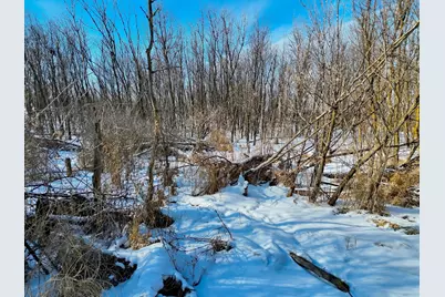 87387 245th Street, Albert Lea, MN 56007 - Photo 22