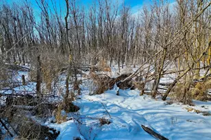 87387 245th St, Albert Lea, MN 56007 - Photo 22