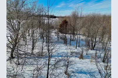 87387 245th Street, Albert Lea, MN 56007 - Photo 12