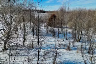 87387 245th St, Albert Lea, MN 56007 - Photo 12