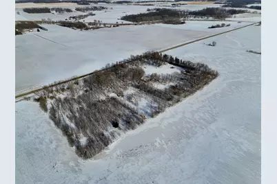 87387 245th Street, Albert Lea, MN 56007 - Photo 8