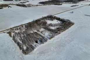 87387 245th St, Albert Lea, MN 56007 - Photo 8