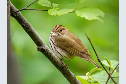 2437 Hwy 3, Two Harbors, MN 55616 - Photo 28