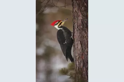 2437 Hwy 3, Two Harbors, MN 55616 - Photo 22