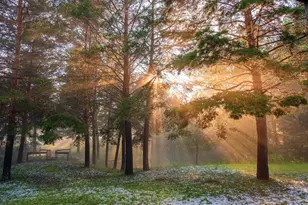 2437 Hwy 3, Two Harbors, MN 55616 - Photo 24