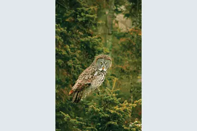 2437 Hwy 3, Two Harbors, MN 55616 - Photo 20