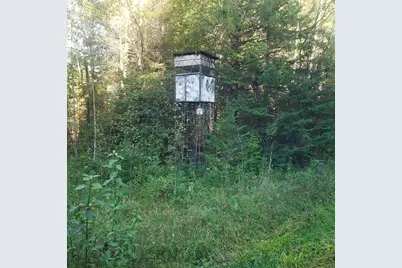 Tbd Gamma Rd, Kabetogama, MN 56669 - Photo 4