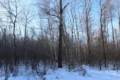 9Xxx 200th Street, Milaca, MN 56353 - Photo 4