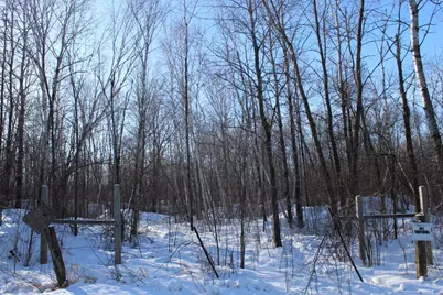 91Xx 200th Street, Milaca, MN 56353 - Photo 6