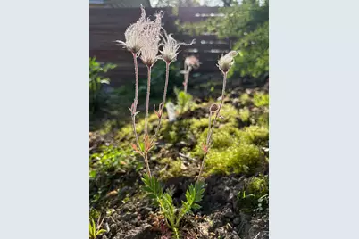 2717 Glenwood Avenue, Minneapolis, MN 55405 - Photo 64