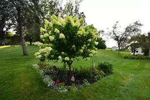 17849 Wedgewood Dr, Zumbrota, MN 55992 - Photo 74