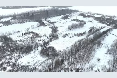 Tbd 51st Street SW, Baudette, MN 56623 - Photo 12