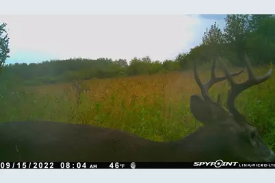 Tbd 51st Street SW, Baudette, MN 56623 - Photo 26