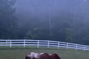 323 220th, Comstock, WI 54826 - Photo 32